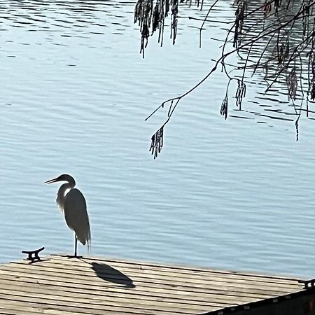 Kingwood Cottage - 10 Mins From Iah - Lake Front همبل المظهر الخارجي الصورة