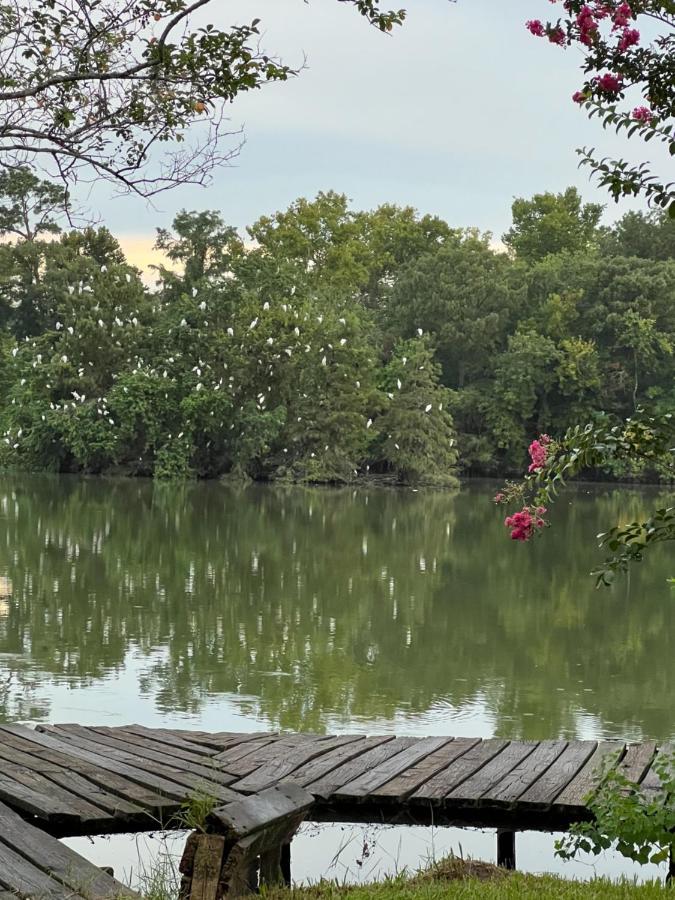 Kingwood Cottage - 10 Mins From Iah - Lake Front همبل المظهر الخارجي الصورة